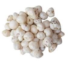 Fox Nuts (پھول مکھانے)